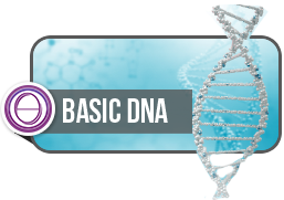 ThetaHealing® DNA Base